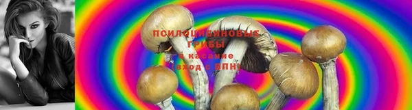 марки lsd Медногорск