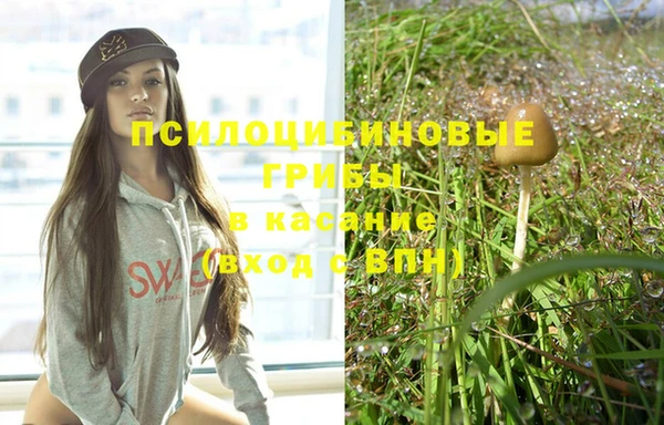 марки lsd Медногорск