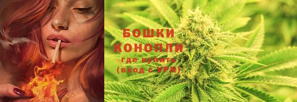 метадон Медвежьегорск